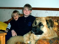 bamse